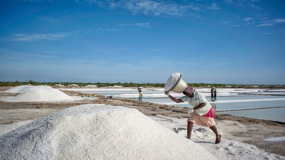 Study Report Says Rising heat stress due to climate change poses grave health risk to TN salt pan workers