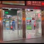 Man In China Caught Trying To Smuggle 14 Live Snakes