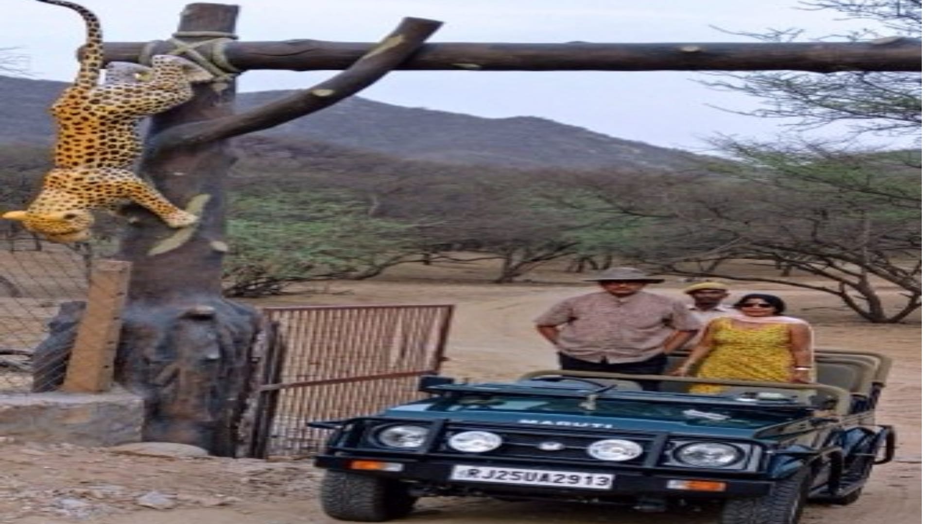 Jaipur Leopards can be seen in Nahargarh the first city in the world to have three leopard safaris