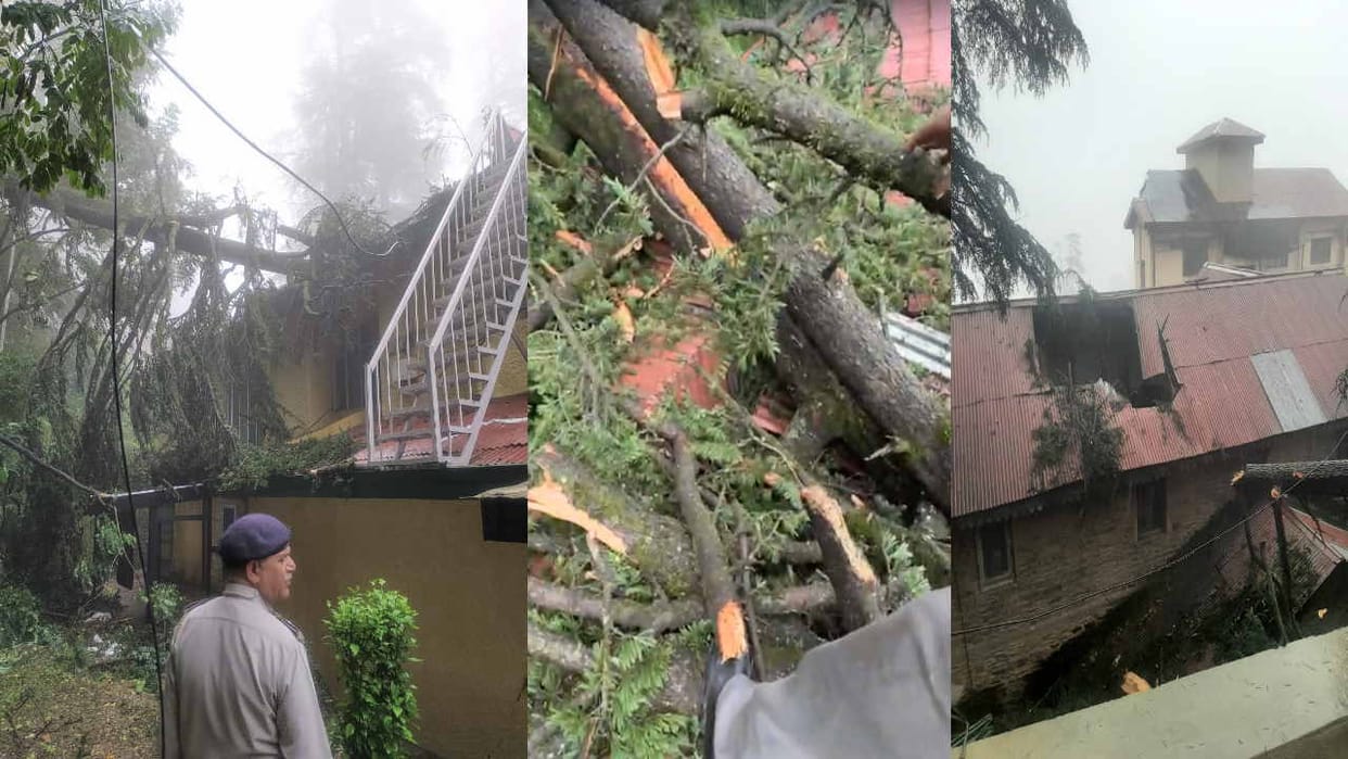 landslide, Trees fell at many places due to heavy rains in Shimla, Assembly Speaker-Public Works Minister's re