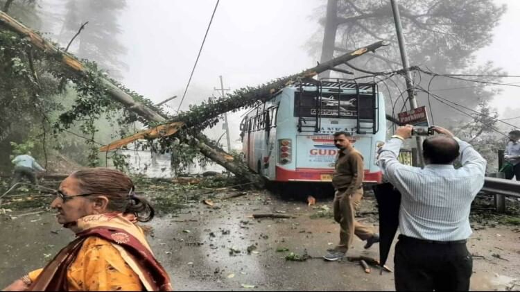 Himachal Rains: बारिश ने बरपाया कहर, चुनाहन में फटा बादल, शिमला में 40 पेड़ गिरे, तस्वीरों में देखें तबाही Rain wreaks havoc in Himachal, cloud burst in Mandi's Chunahan, two dozen trees fell in Shimla, see devastatio