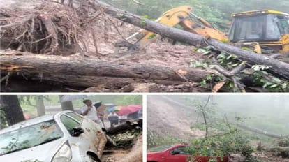 All schools and colleges will remain closed in Himachal on August 14, orders issued by the government