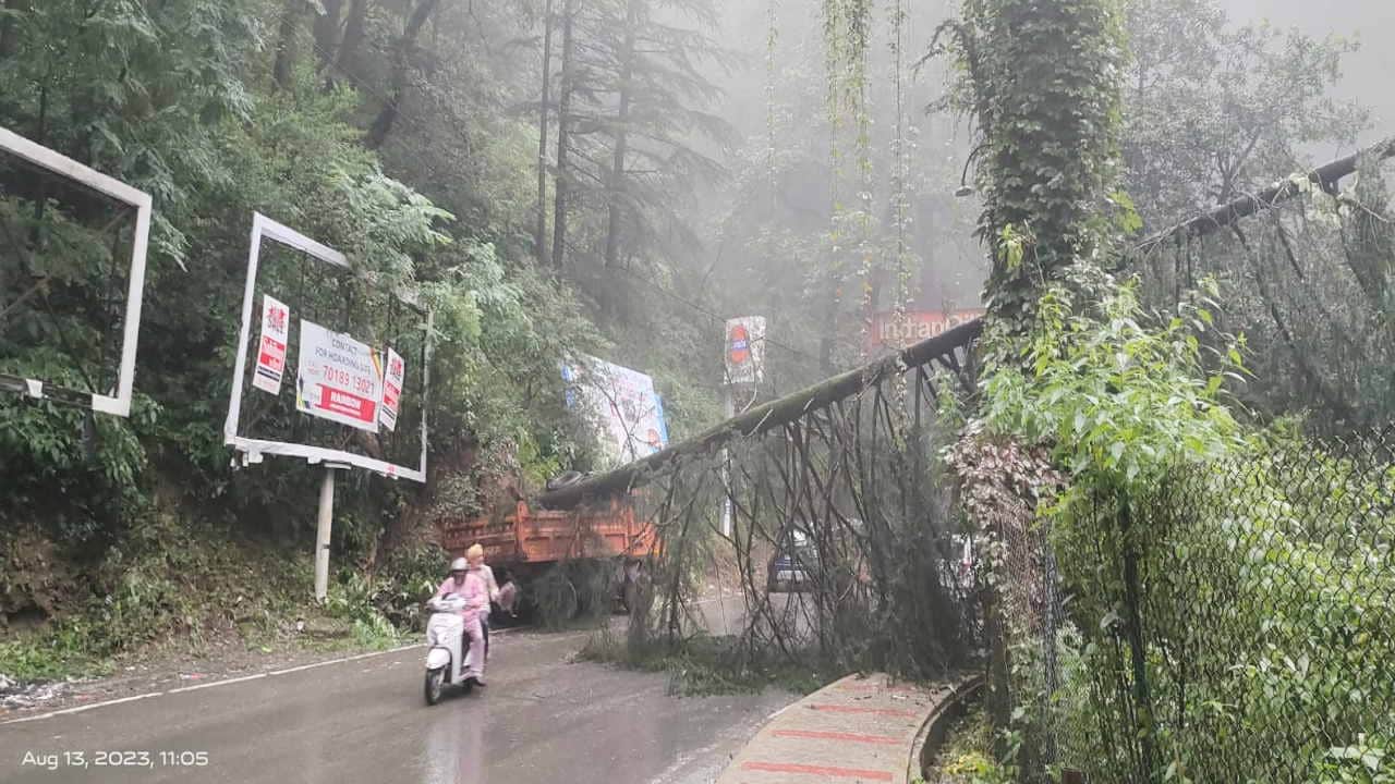 Rain wreaks havoc in Himachal, cloud burst in Mandi's Chunahan, two dozen trees fell in Shimla, see devastatio