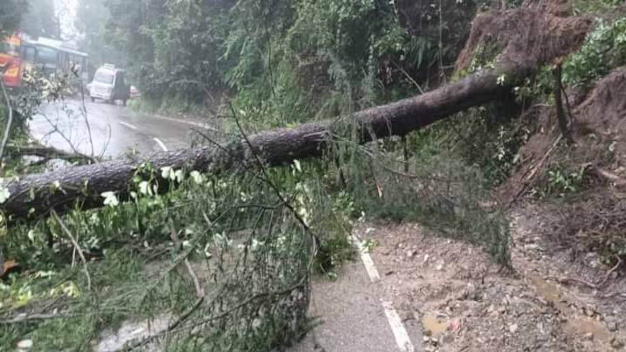 Rain wreaks havoc in Himachal, cloud burst in Mandi's Chunahan, two dozen trees fell in Shimla, see devastatio