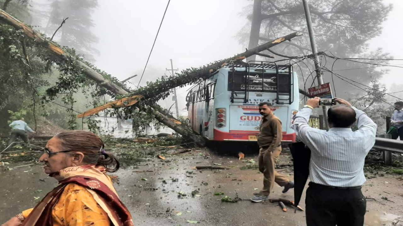 Rain wreaks havoc in Himachal, cloud burst in Mandi's Chunahan, two dozen trees fell in Shimla, see devastatio