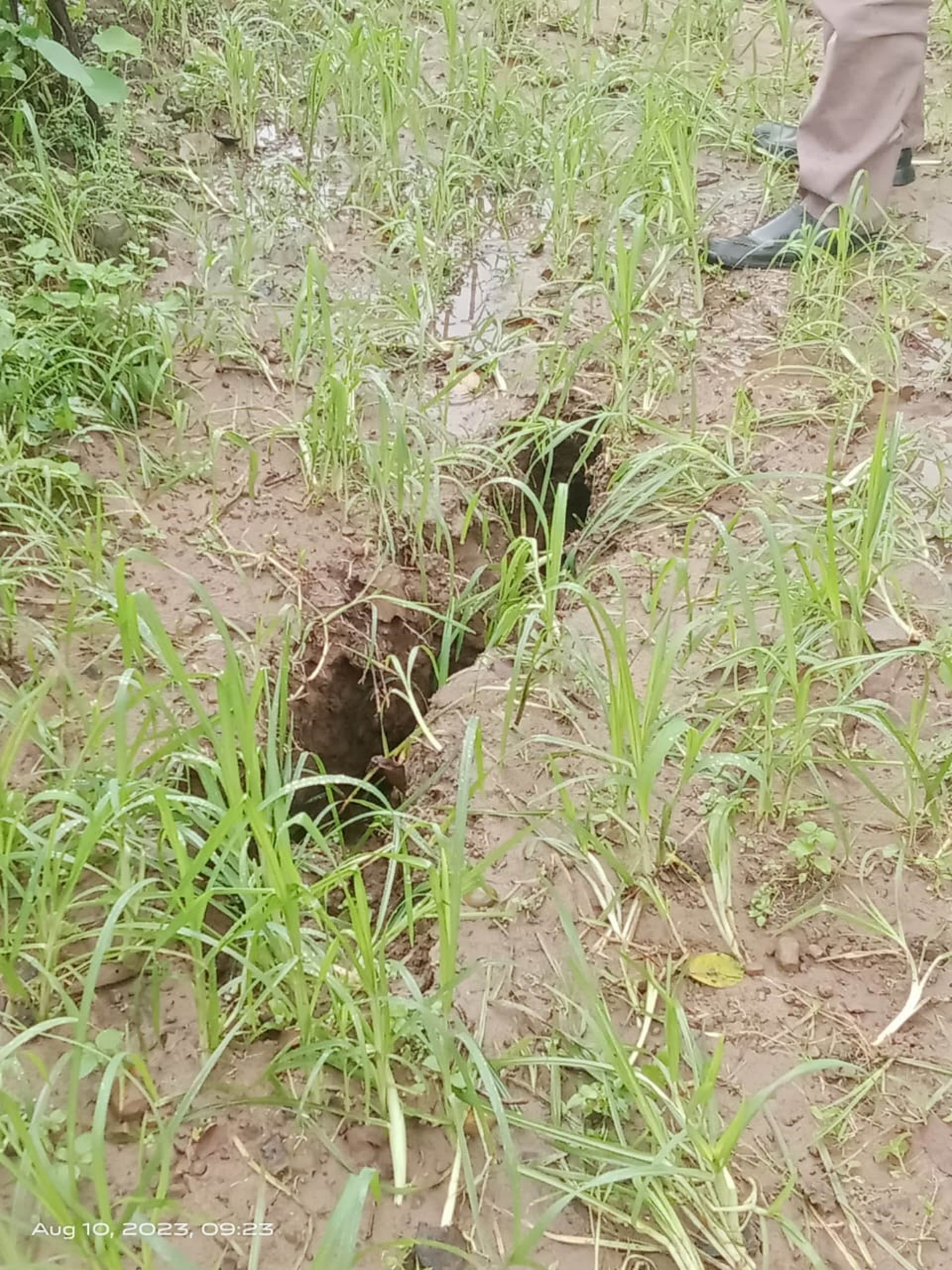 Uttarakhand Weather Update: Cracks in Devrana Village Of Yamkeshwar Pauri Heavy Rainfall News in Hindi