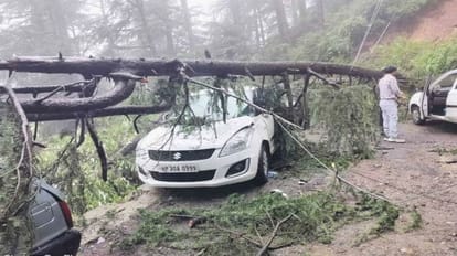 Himachal: देवभूमि में अकेले मानसून ने ही नहीं मचाया तबाही का तांडव, तुर्किये-पाकिस्तान से आया पश्चिमी विक्षोभ Western Disturbances from Turkey and Pakistan created havoc by juggling with monsoon