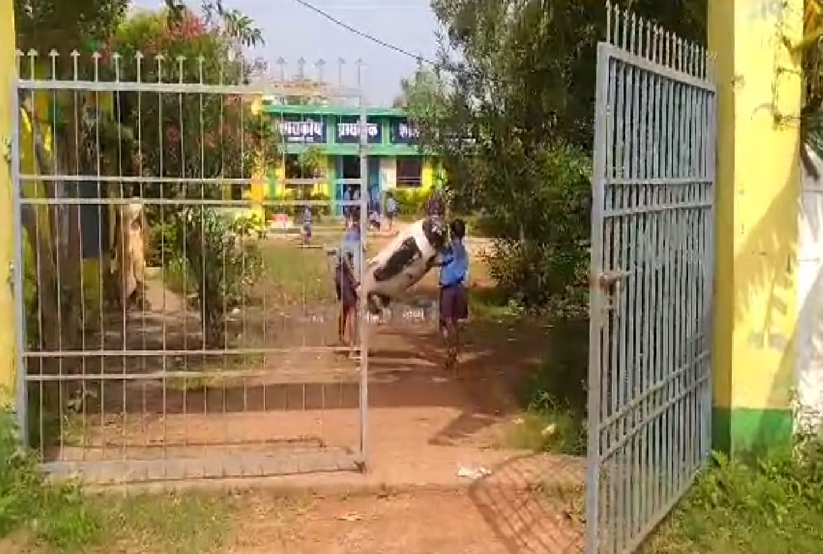 Video of school children picking up garbage in Balod goes viral
