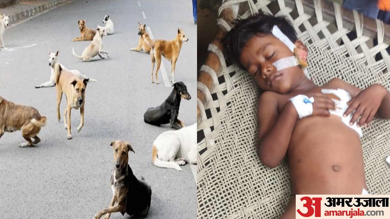 pack of dogs attack on innocent child in deoria