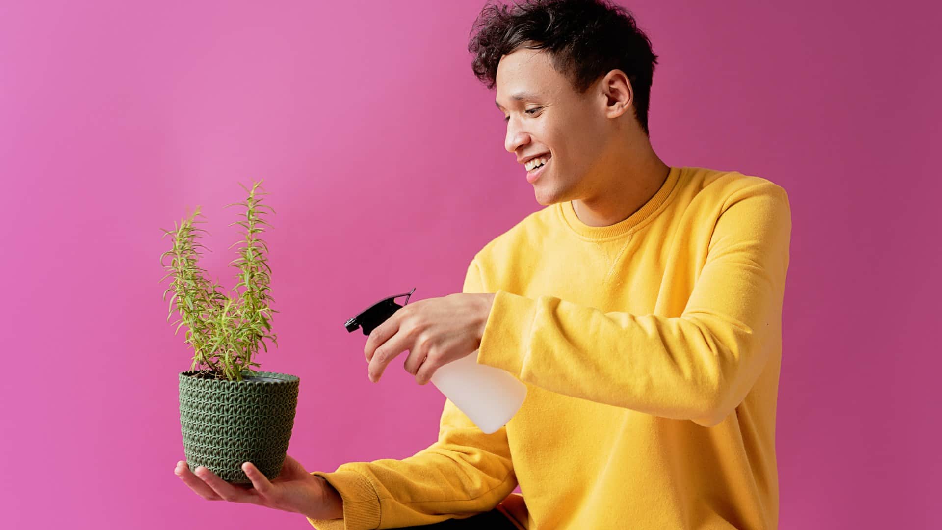 How To Repot Plants Without Killing Them Know Repotting Plants Process in hindi