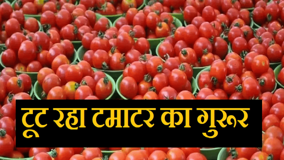 Tomatoes are being sold in Ghaziabad for 250 to 90 kg rs