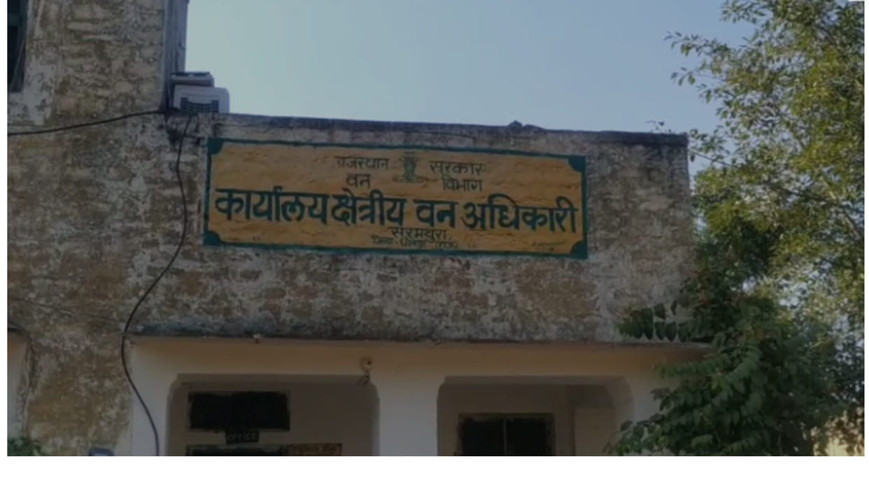 Dholpur Forest Department team took action against illegal mining seized a truck full of stone blocks