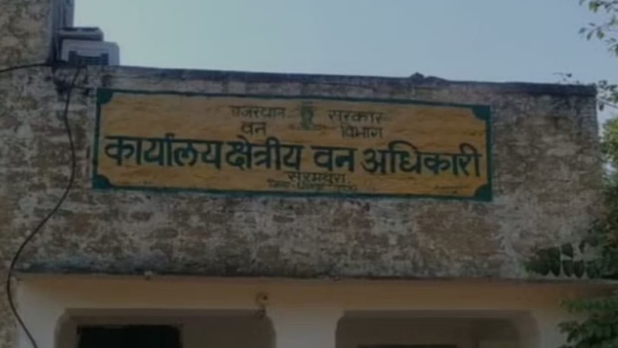 Dholpur News Forest Department seized truck full of illegal stone blocks