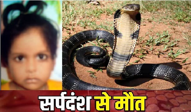 Girl died due to snake bite, Innocent had gone to get a glass of milk in the room, SDM said will get help of f