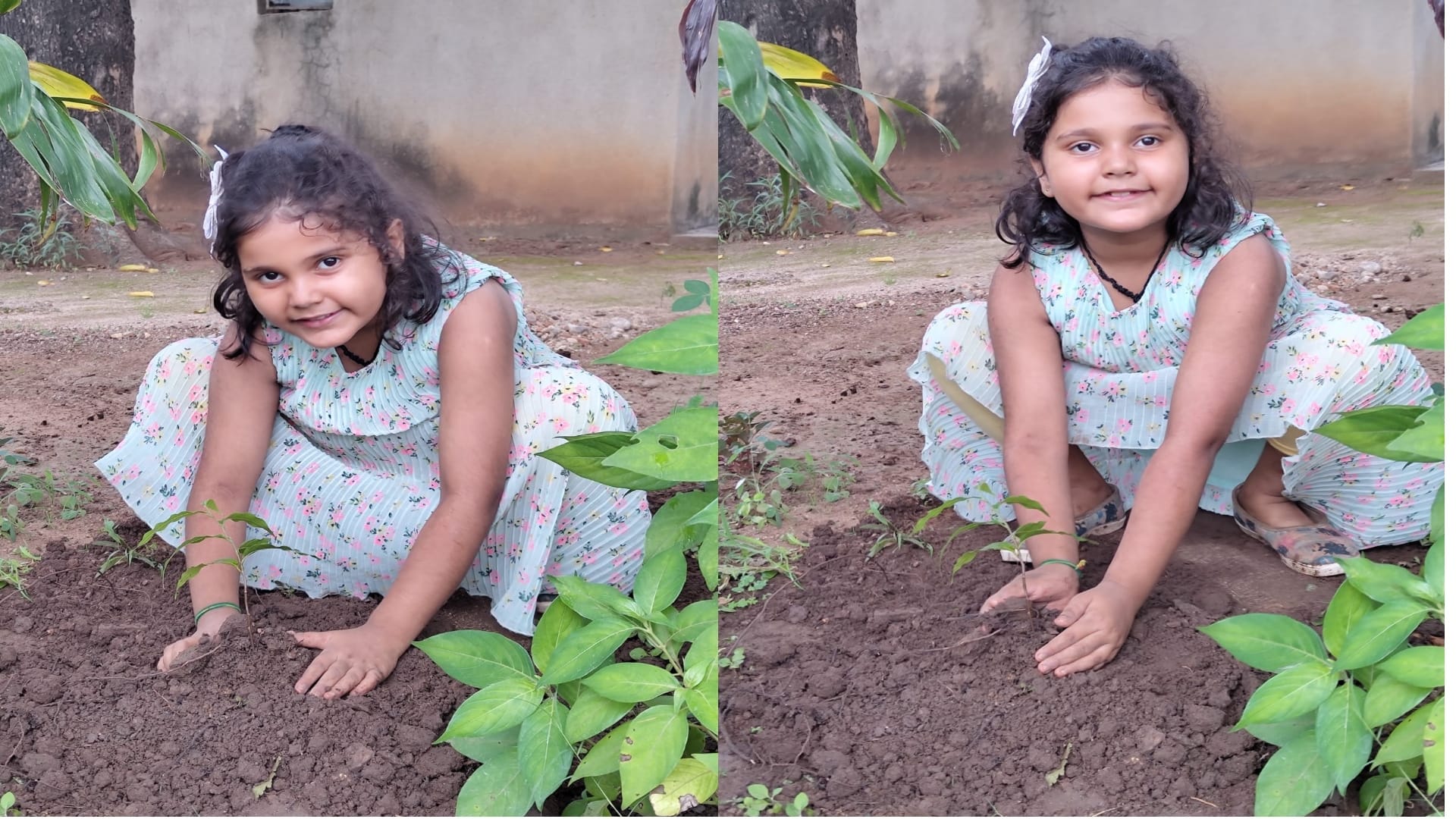 Kota Unique hobby of six year old girl till now plant 638 trees target is to plant 50 thousand trees by 2031