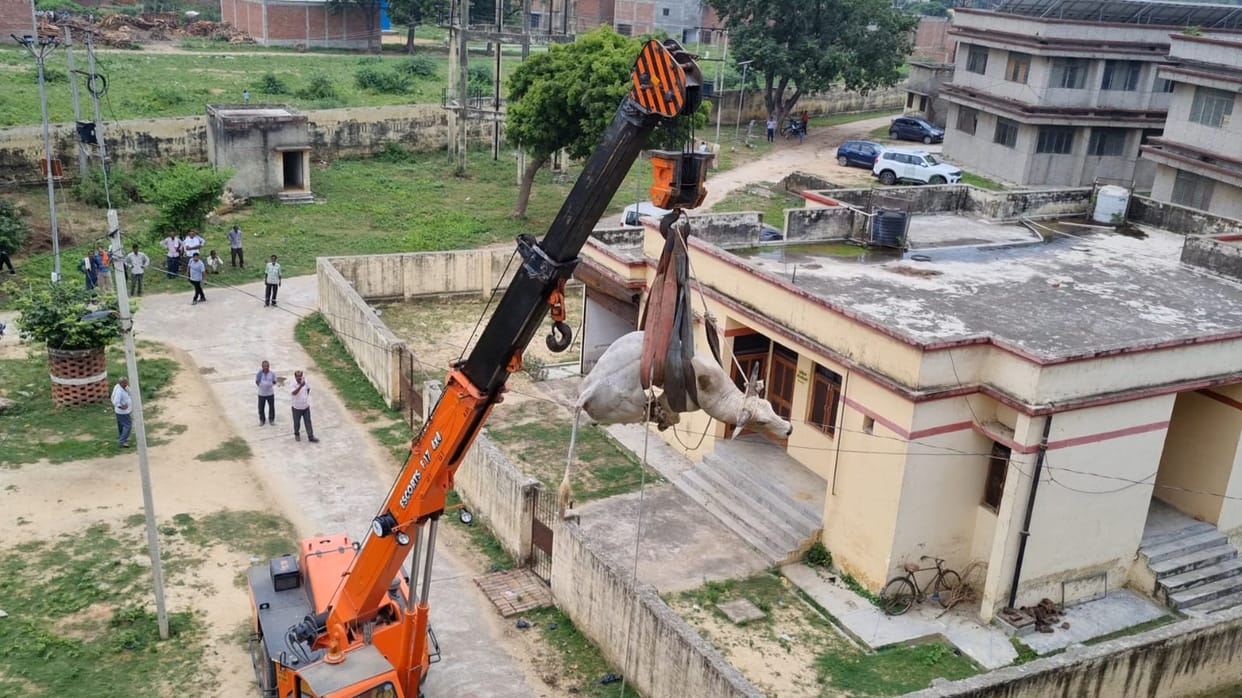 Rescue of bulls climbed on the fourth floor of the tehsil, one was craned and the other was brought down from