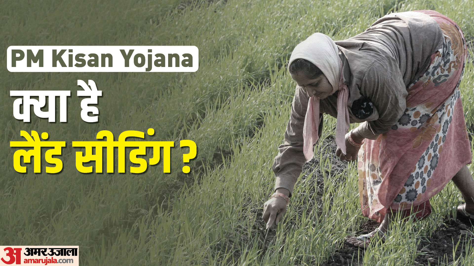 Pm Kisan Yojana What Is Land Seeding? Know Full Details Here Amar