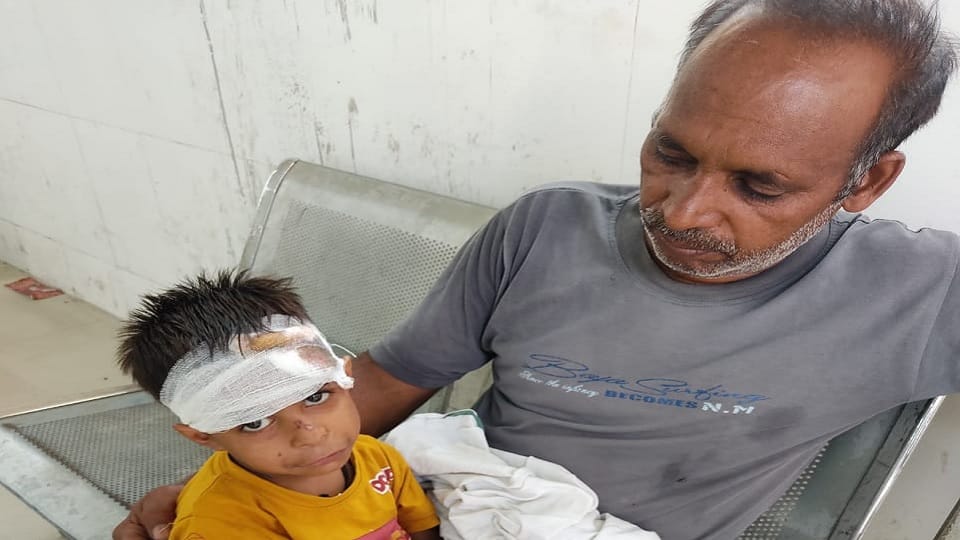 Car hit pregnant woman came for examination in Hansi, child died in stomach