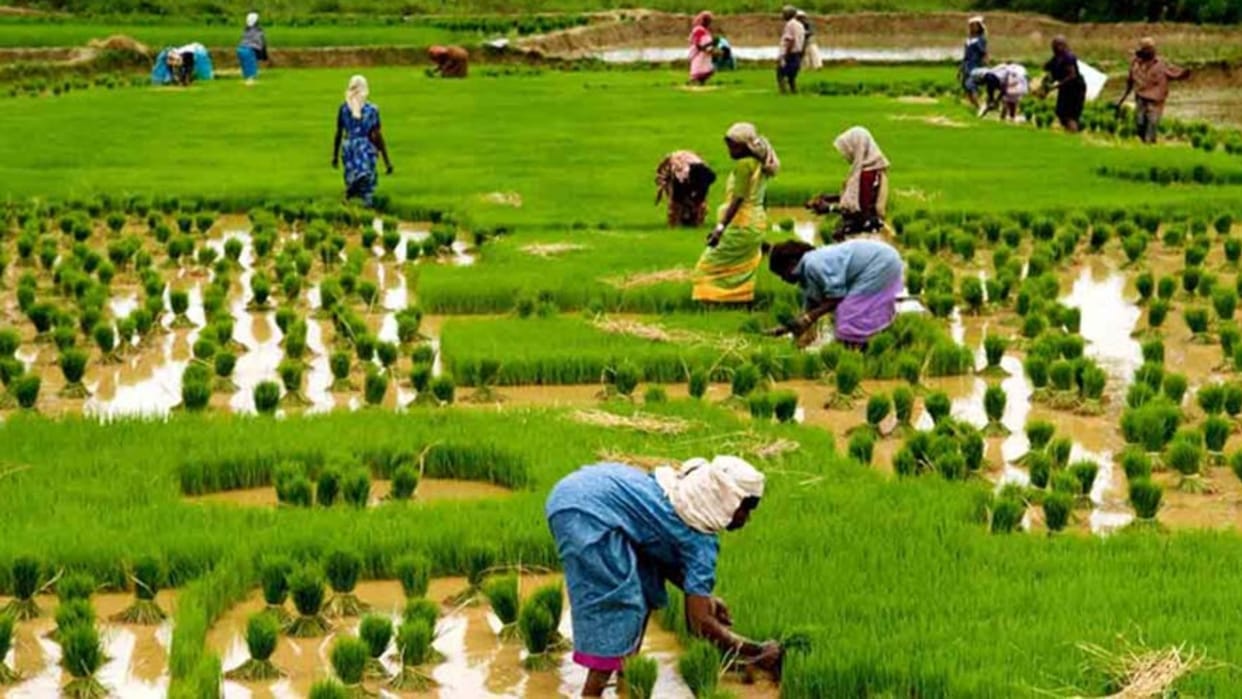 usa samantha power said india extending help beyond his borders in food security biggest rice exporter