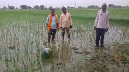 MP News: किसान के खेत में आसमान से गिरा रहस्यमयी गोला, ग्रामीणों में दहशत, वैज्ञानिकों की टीम को बुलाया MP News: Mysterious sphere fell from the sky in the farmer's field, panic among the villagers
