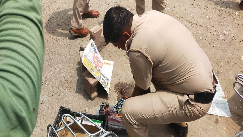 Dead body of newborn girl thrown in drain in Ambala, dog brought on road by trapping in jaws
