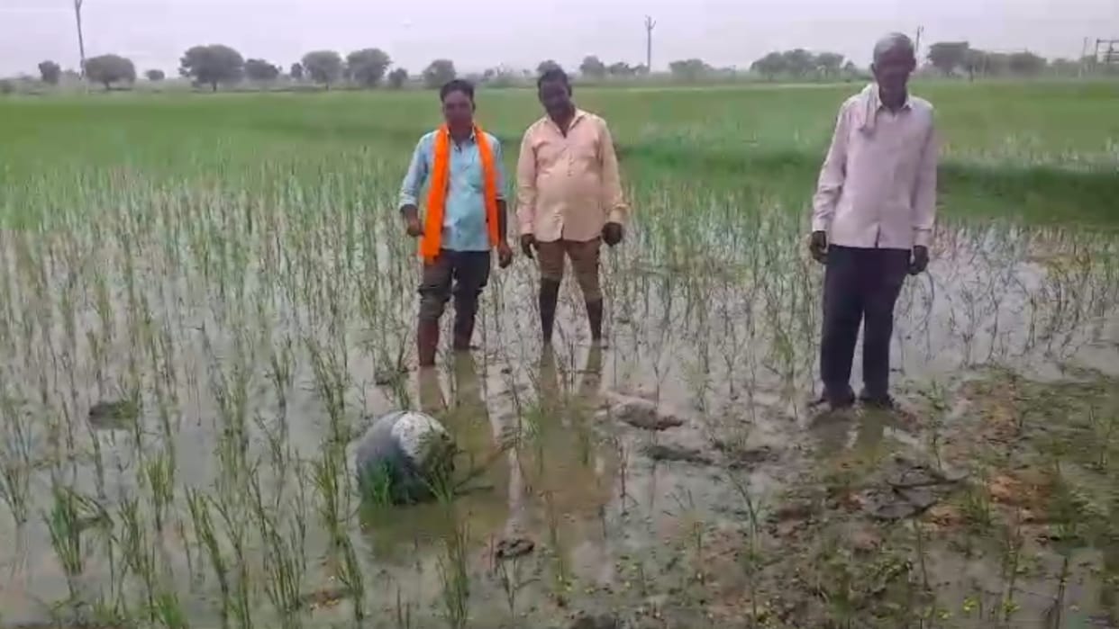 MP News: Mysterious sphere fell from the sky in the farmer's field, panic among the villagers