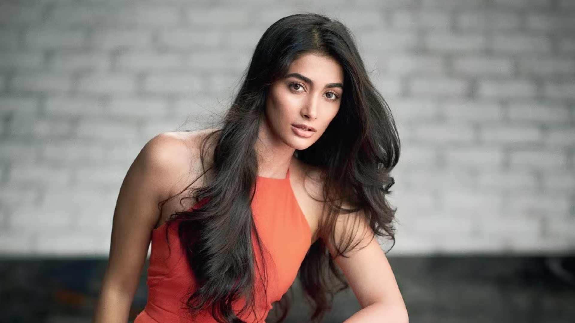 south actress education samantha ruth rashmika mandanna pooja hegde sai pallavi anushka shetty shruti haasan