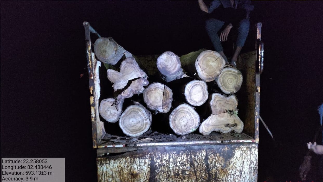 Forest Department caught 11 pieces of timber during the search in Chhattisgarh