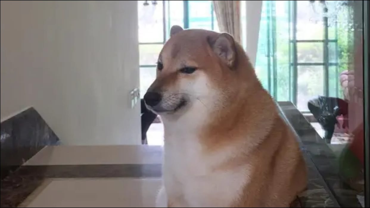Viral meme dog Cheems dies during surgery know all about him latest updates