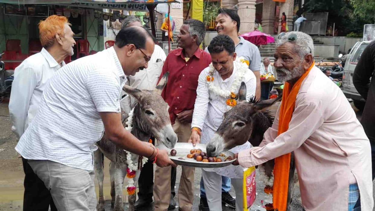 Intermittent rain continues in Mandsaur since morning