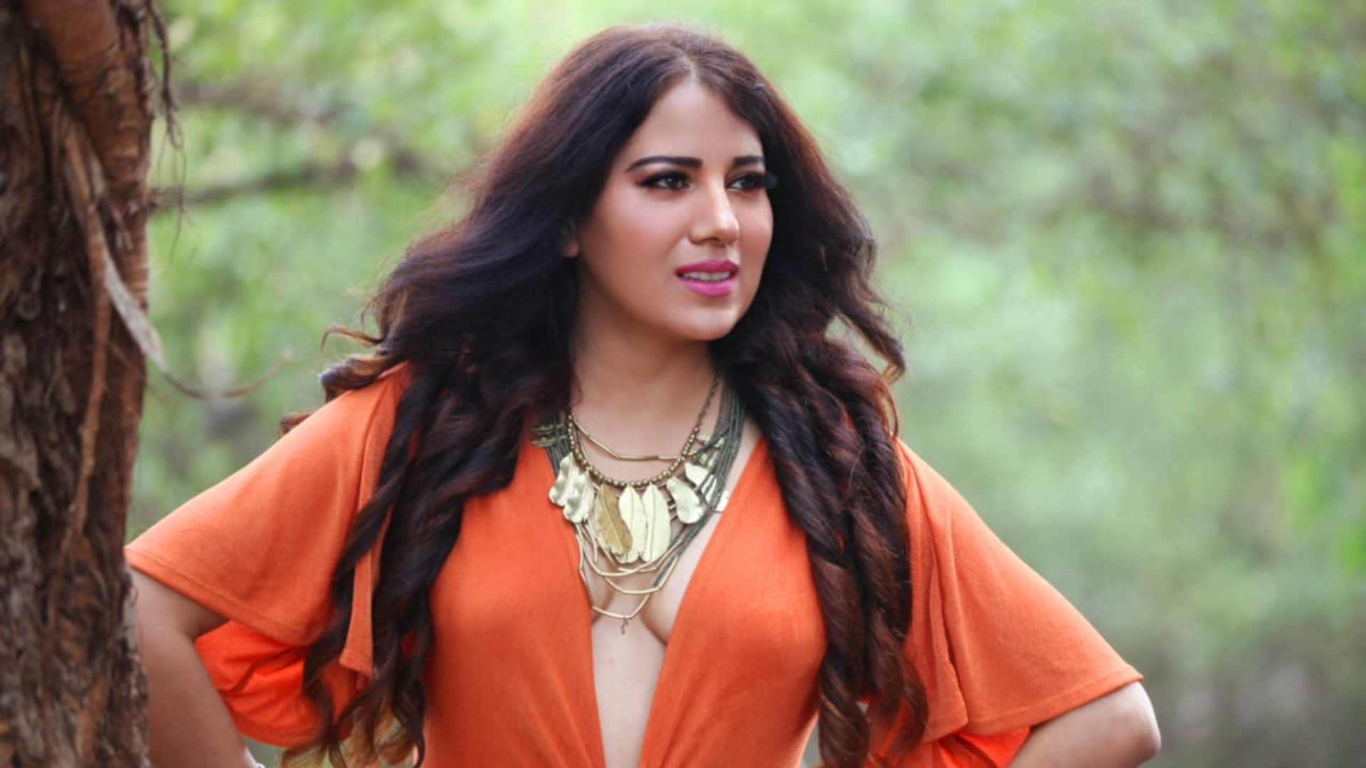 south cinema actress Priyanka Agrawal shines in hindi music videos to good film and series offers