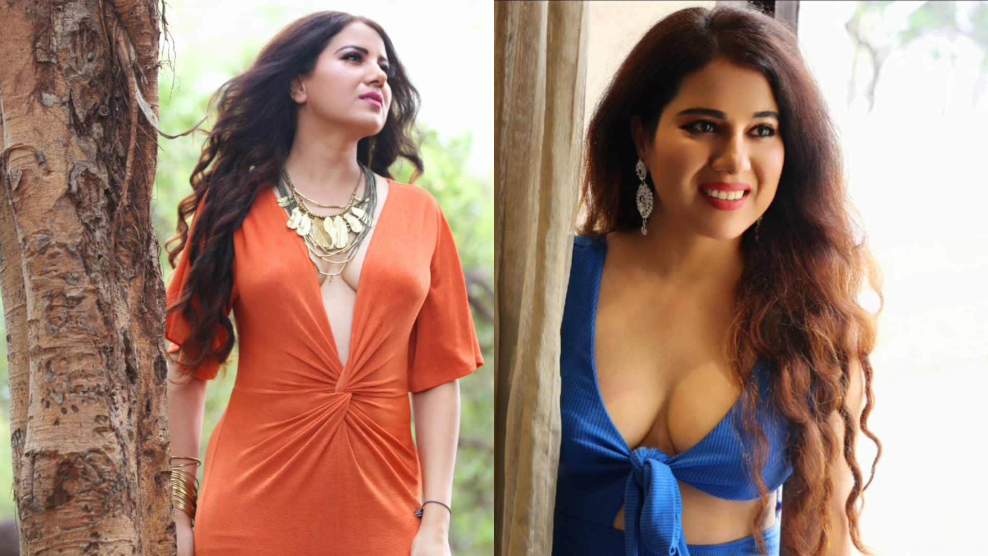 south cinema actress Priyanka Agrawal shines in hindi music videos to good film and series offers