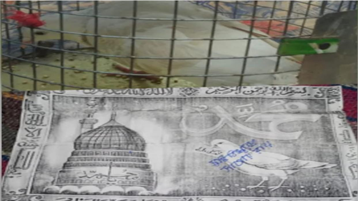 Ajmer A white pigeon carrying an amulet with a letter around neck created a sensation police is investigating
