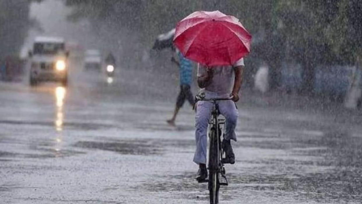 Sehore Weather: Monsoon rains gave respite from the heat, farmers faces blossomed