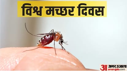 विश्व मच्छर दिवस