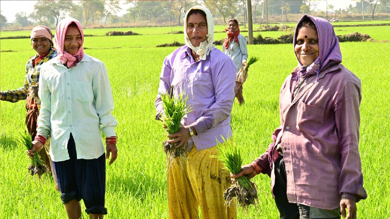 Rajiv Gandhi Kisan Nyay Yojana farming has become easy in Chhattisgarh