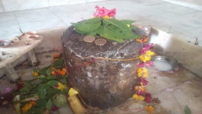 Devotees offer broom and brinjal to Lord Shiva in Palannath temple in Lakhimpur Kheri
