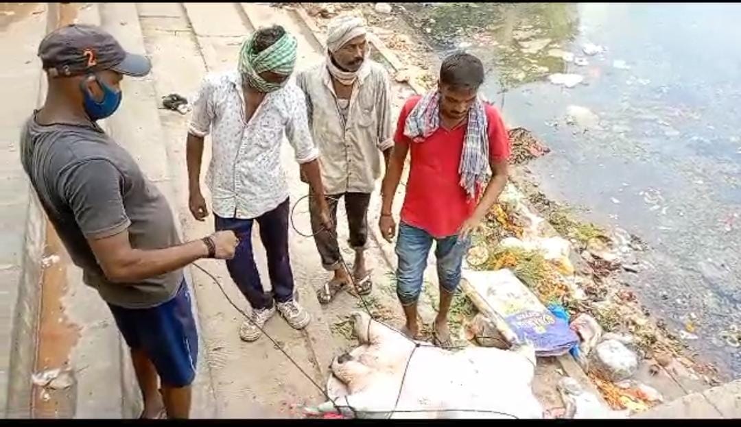 three hundred years old tortoise  found dead in Laxmi Kund in varanasi which is 300 kg weight
