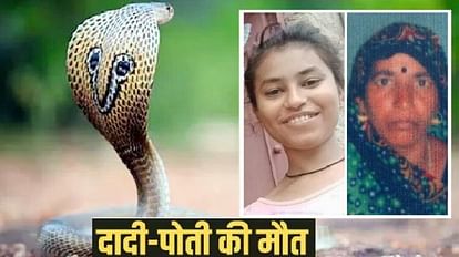 परिवार पर टूटा दुखों का पहाड़: एक साथ उठीं अर्थिंयां! किशोरी की सर्पदंश से मौत...सदमे में दादी भी चल बसीं Grandmother and granddaughter s death in Jalaun, Teenager died due to snakebite, Grandmother also passed away