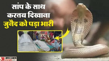 Youth dies of snake bite at Nag Panchami fair in Bareilly