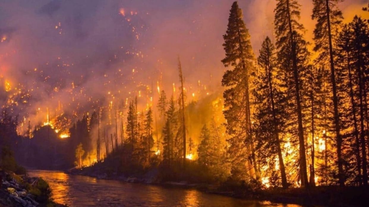 canada wildfires in british columbia emergency imposed army deployed cities evacuate
