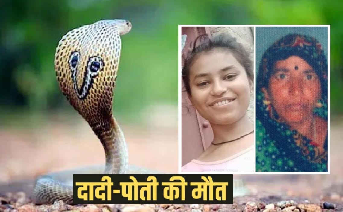Grandmother and granddaughter s death in Jalaun, Teenager died due to snakebite, Grandmother also passed away