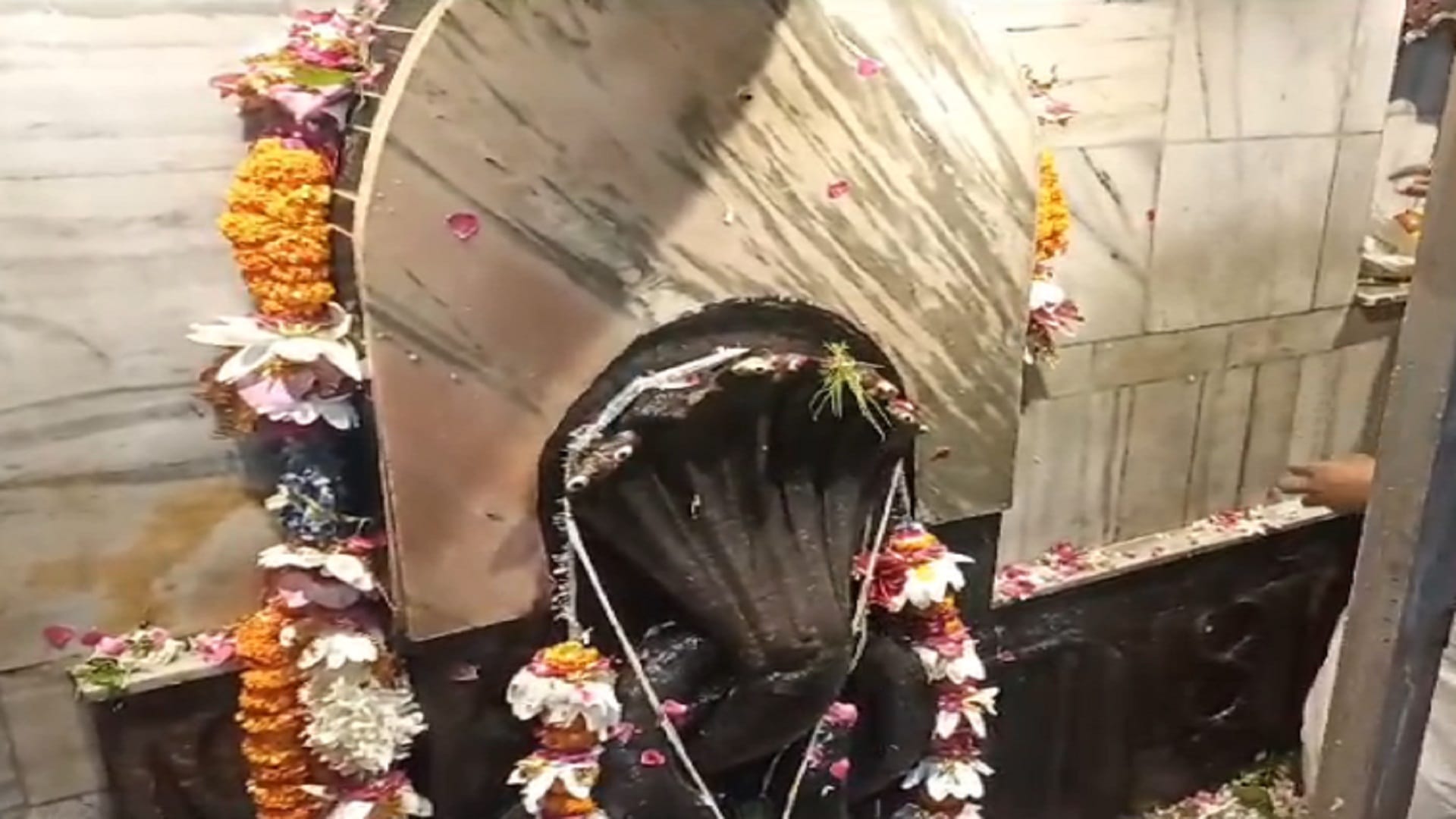 Nag Panchmi: Amazing combination of Sawan Monday and Panchami, milk-lava offered to Shiva