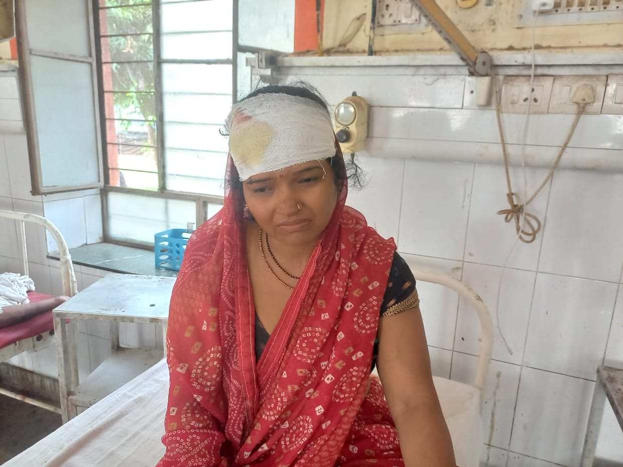 Rajasthan Crime: Controversy over plucking lemon, father-in-law attacked daughter-in-law with an axe
