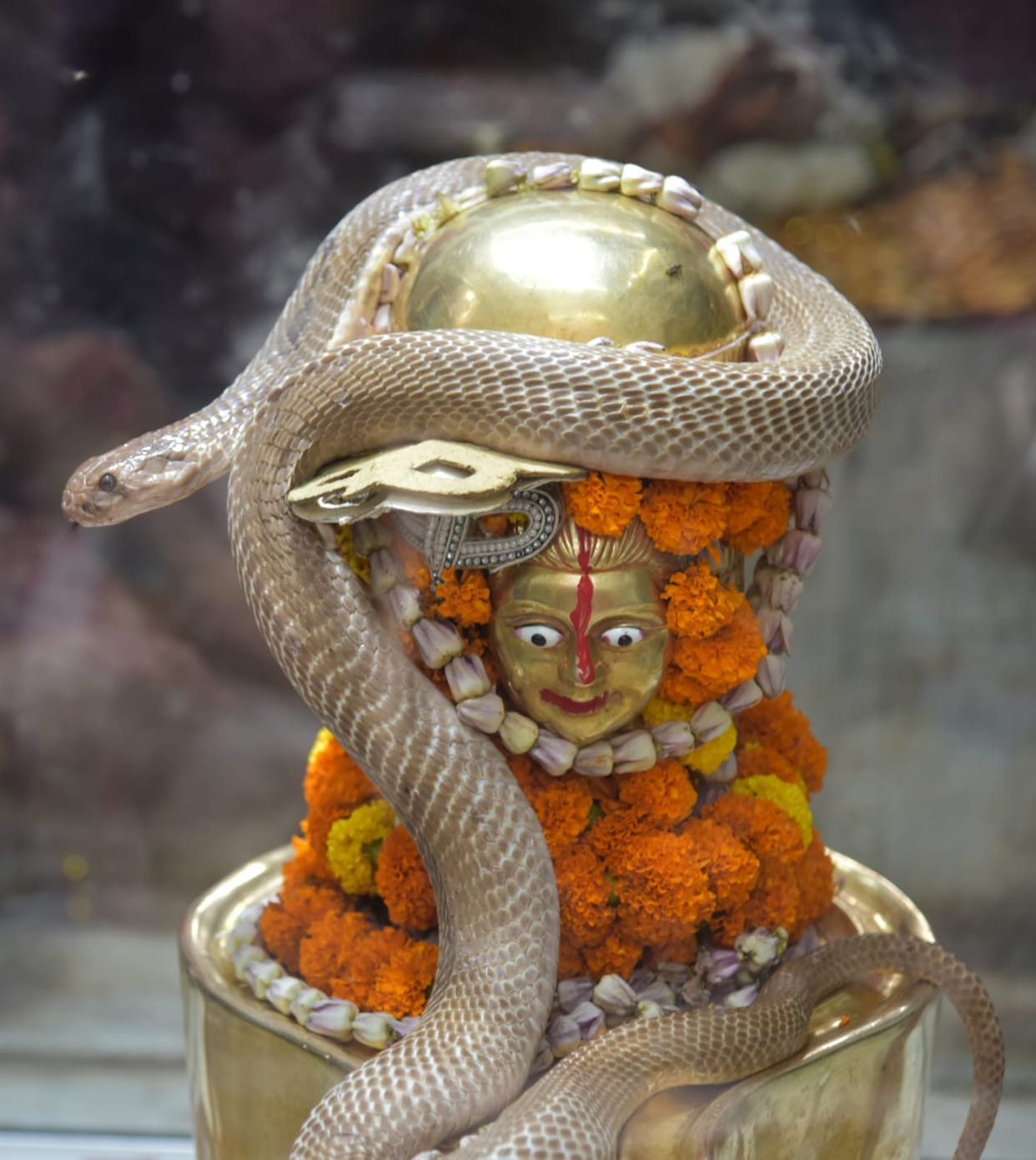 special occasion on sawan somvar and nag panchami 2023, snake makeup of shivling photo and baba barfani