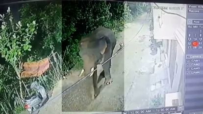 Haridwar: राजा गार्डन कॉलोनी में फिर घुसा जंगली हाथी, सीसीटीवी में दिखी चहलकदमी, दहशत में लोग Haridwar News Wild elephant entered in Colony seen in CCTV people in panic