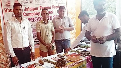UP: नौकरी छूटी तो शुरू किया रागी से लड्डू बनाने का कारोबार, लाखों की कमाई, 30 महिलाओं को दिया रोजगार UP: Leaving the job of Income Tax Department, started the business of making ragi laddoos, earning lakhs