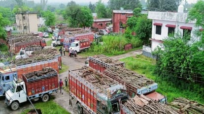 Una News: पुलिस ने पंजाब जा रही लकड़ी से लदी 28 गाड़ियों को पकड़ा, दस्तावेजों की हो रही जांच Una police caught 28 vehicles carrying wood going to Punjab