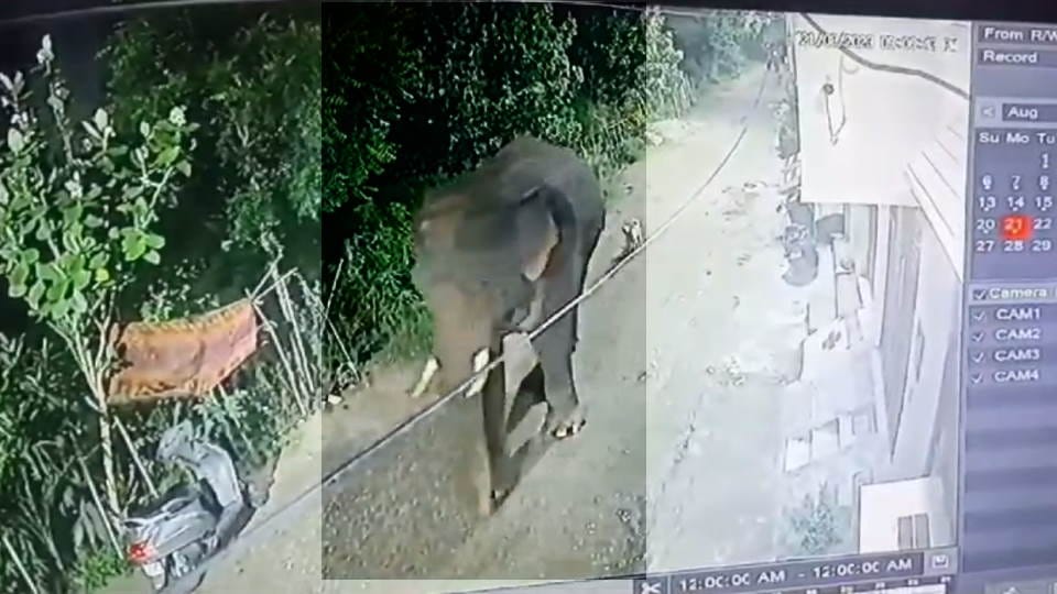 Haridwar News Wild elephant entered in Colony seen in CCTV people in panic