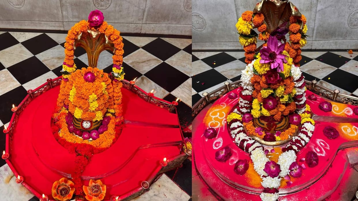 Ujjain: Record made in Mangalnath temple, more than 1700 people worshiped